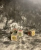 Nick Wenger HAUNTED BLOCKS