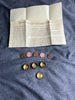 Viking Magic Presents FRED LOWE Coin Box SET
