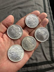 Connie Haden 1921 Morgan Dollar Expanded Shell Set