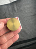 Jo-Pro Coin Box by Johnson Products