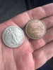 Todd Lassen Walking Liberty/Irish Penny Hopping Half