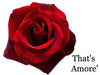 That's Amore'